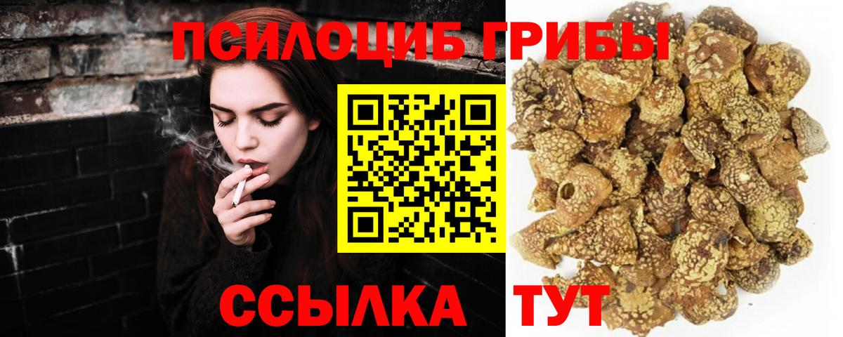 ГАШ Гагарин