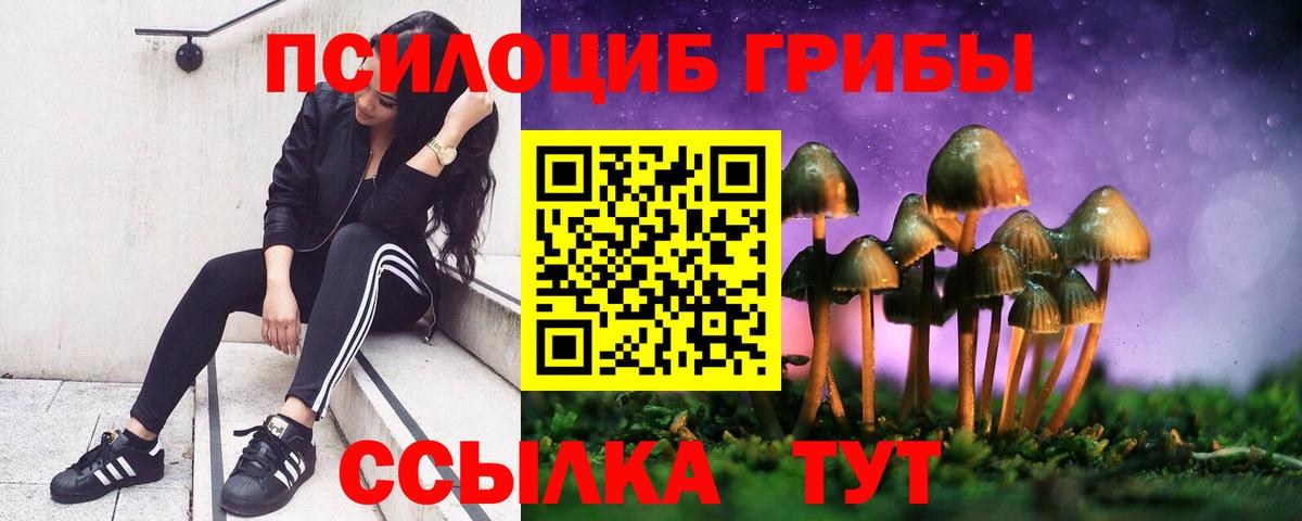 Псилоцибиновые грибы мицелий  Вход с VPN  Гагарин 